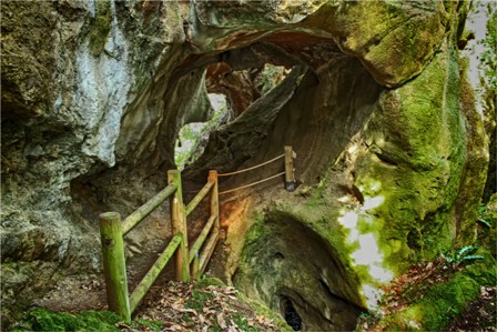 Cova Andia entrada roca